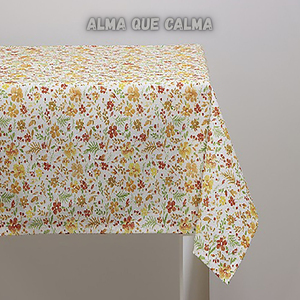 Alma Que Calma