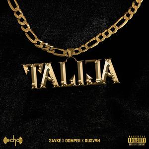 Talija (feat. Dusvvn)