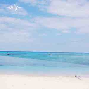 唯美之梦 (古筝曲)