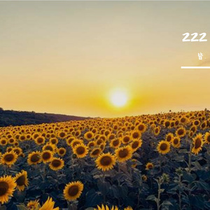 好遗憾只能陪你到这一站 DJ