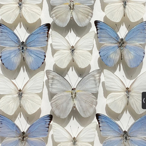 たぶん（大概）