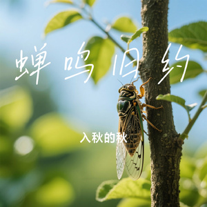 蝉鸣旧约