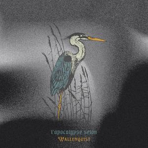 JACK, COKE, NEUROLEPTIC, ANXIOLYTIC, CODEIN & KUSH.