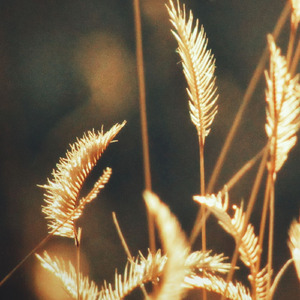 Techno Timeless (Live)