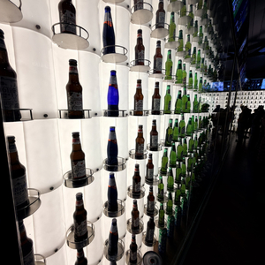 想和你浪费时间