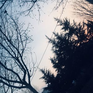 悬在暮色的琥珀