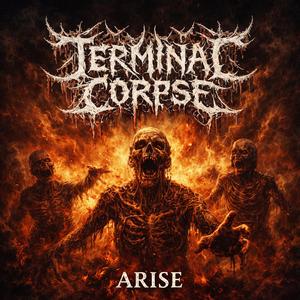 Rise of the Old Gods