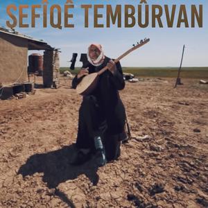 Rabe Rabe (feat. Shefiqe Temburvan)