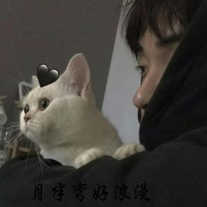 有多少(快手版)