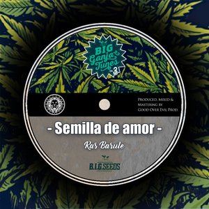Semilla de amor Dub