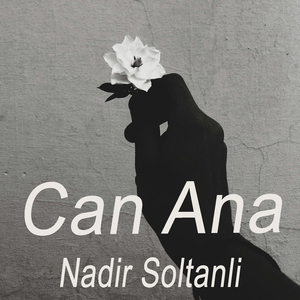 Can Ana