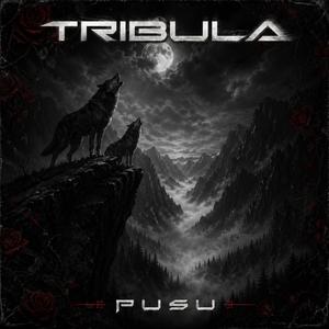 Pusu