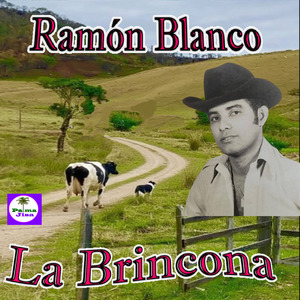 Caballo, mi fiel Amigo