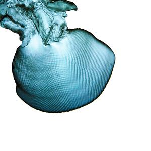 Theory of matter and motion