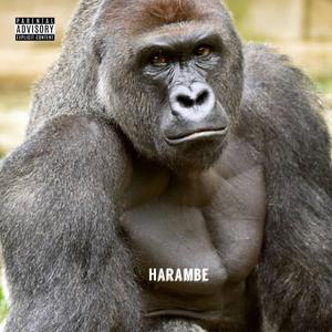 Harambe