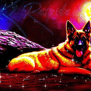 K9 Respite