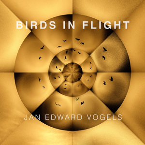 Birds in Flight