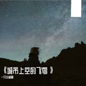 《城市上空的飞鸟》