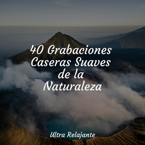 Prados Calmados