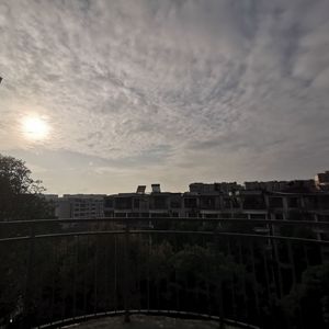 白日梦