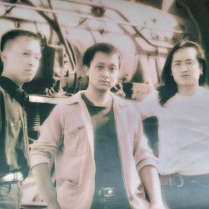 亲爱的绿色的草泥马