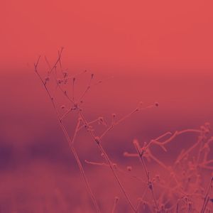 精彩在家休息环境