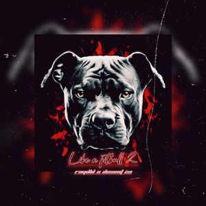 Like a pitbull 2