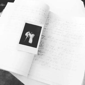 Tollie kwijt (feat. Platte wokkel)