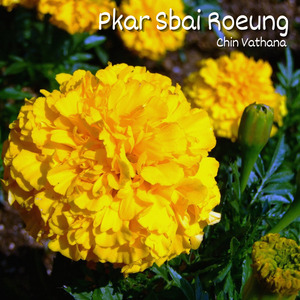 Thmor Koul Sromoal Snaeh