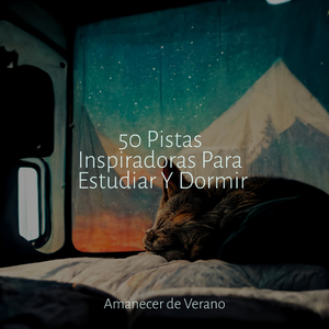 Susurros desenterrados en silencio