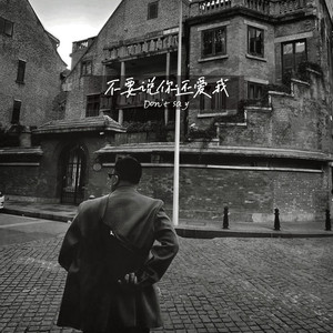 不要说你还爱我 (2.0版)