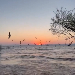 到波兰街闯一闯（砵兰街的夜）Vol.3