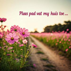 Plaas pad vat my huis toe