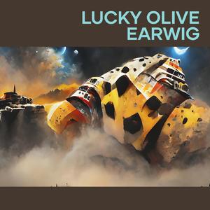 Lucky Olive Earwig