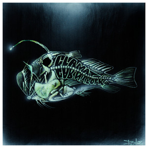 Down in the Upside Down Land