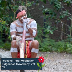 Native Australia Healing Digeridoo