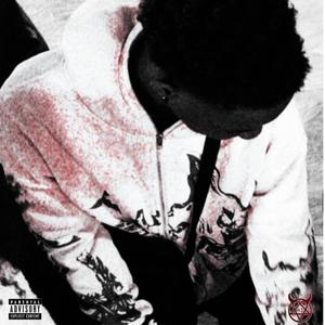 Enlightened Vibes (fried freestyle 2)