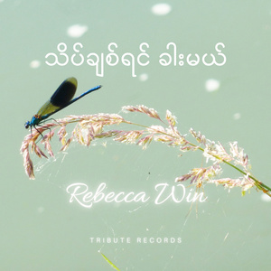 တစ်ယောက်တည်းကမ်းခြေ (Live)