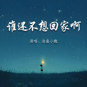 谁还不想回家