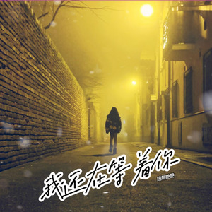 我還在等著你 (伴奏)