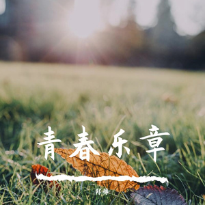 青春乐章