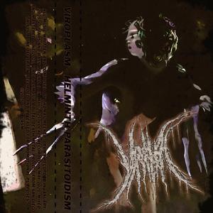 Helminth Parasitoidism