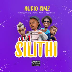 Silithi (feat. Pdogg Amazing, Biggy Brandz & AlphaV_Mr031)