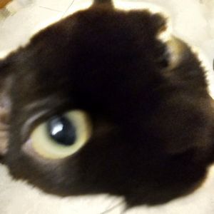 ต้องโทษดาว... 必须责怪星星…（cover Jimmy Jitaraphol）