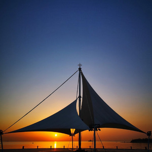 不会说谎的哑巴