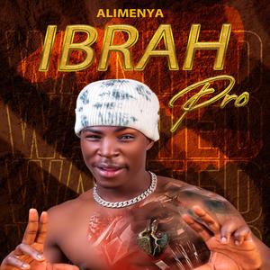 Alimenya (feat. Ibra Pro)