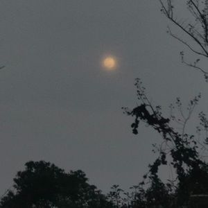 主角（小白在o remix）