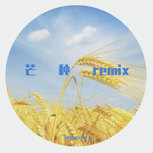 音阙诗听-芒种remix（Taylorcracy remix）