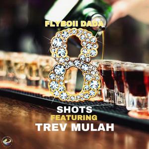 8 SHOTS