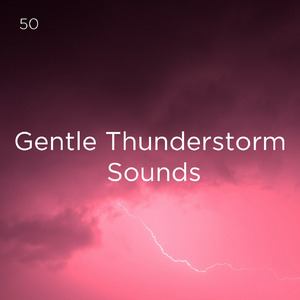 뇌우 소리 수면